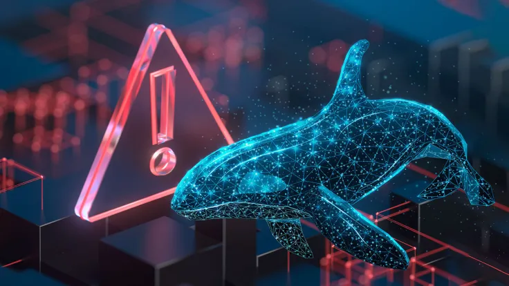 stETH Whale Attacked by Hackers, Substantial stETH Amount Lost