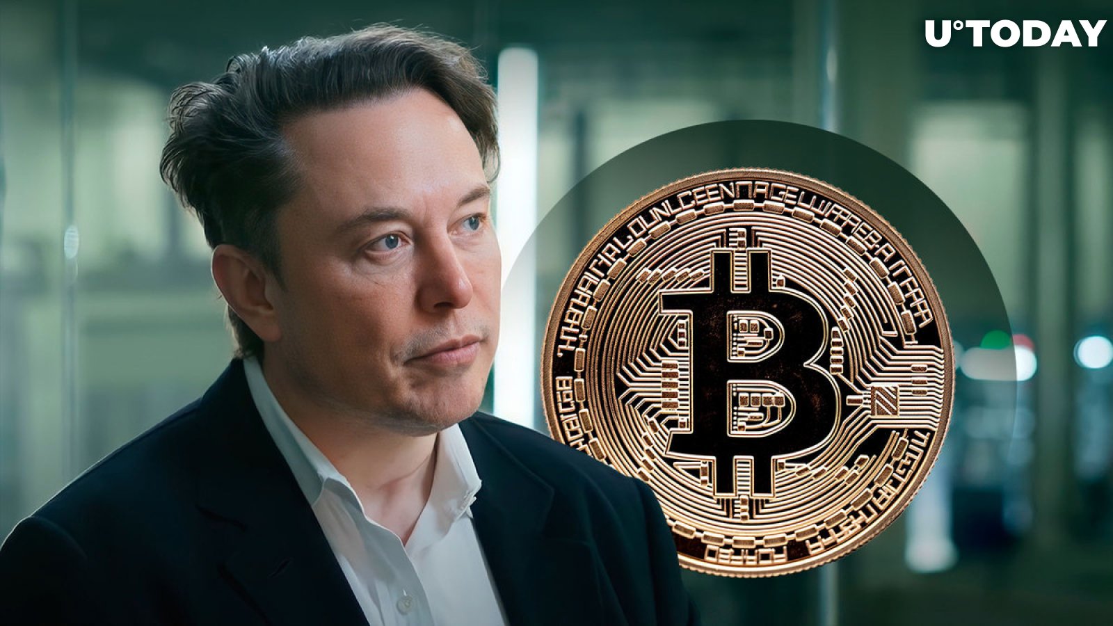 Bitcoin and Elon Musk Have This Stunning Thing In Common: VanEck's Top Exec
