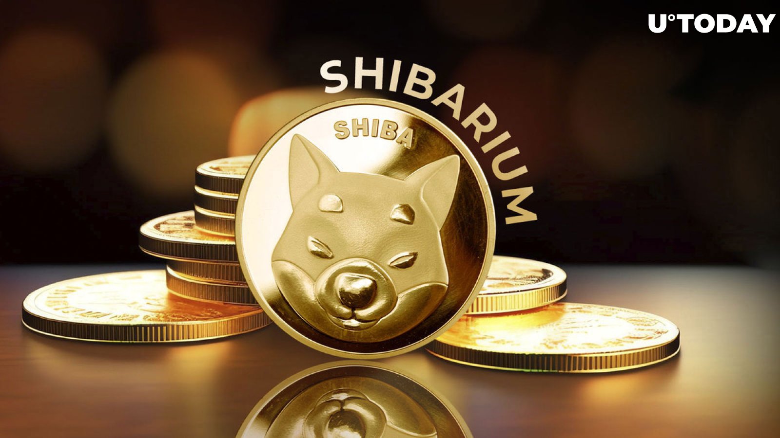 Shibarium and Shiba Inu's Correlative Growth: Data Insight