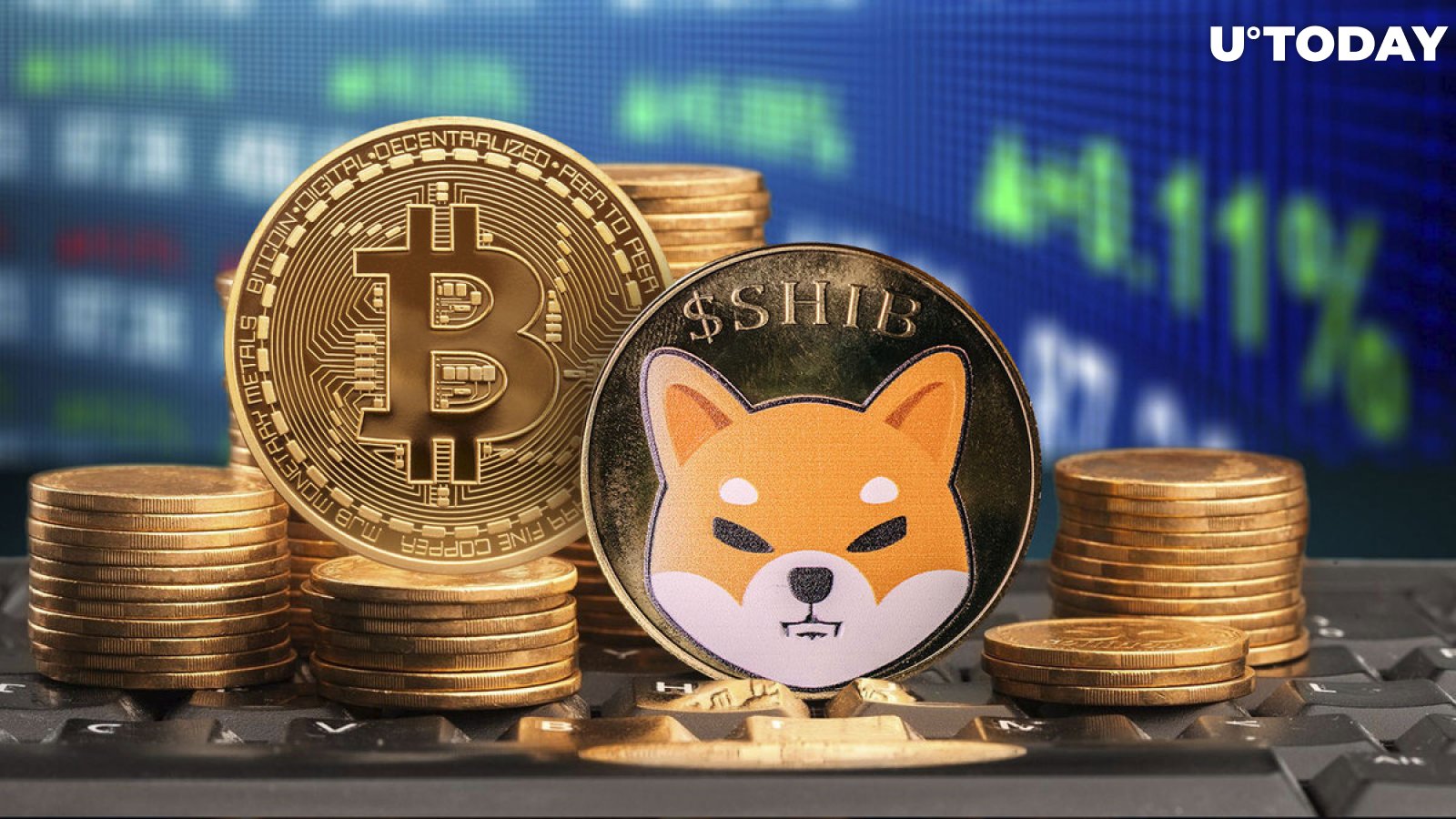 Bitcoin and Shiba Inu Have Crucial Similarity, And It Will Surprise You