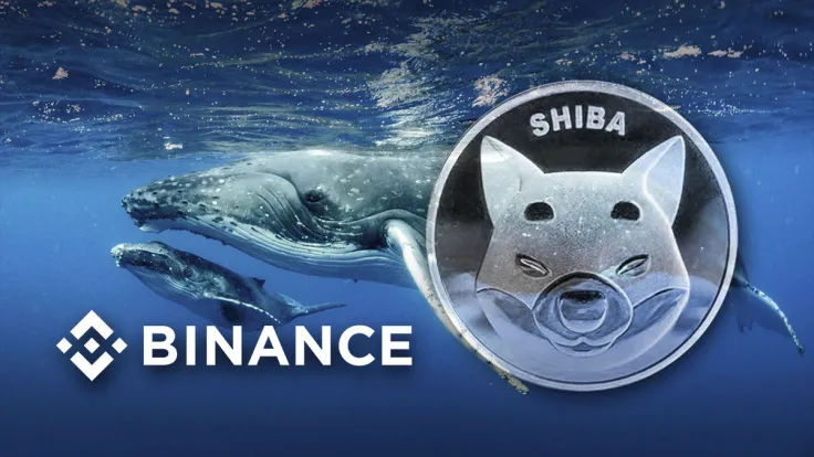 421.6 Billion SHIB Sold by Mysterious Whale as Price Close to Burning Zero