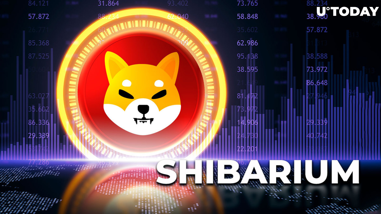 Shibarium Breaks New Record But in Unimpressive Way