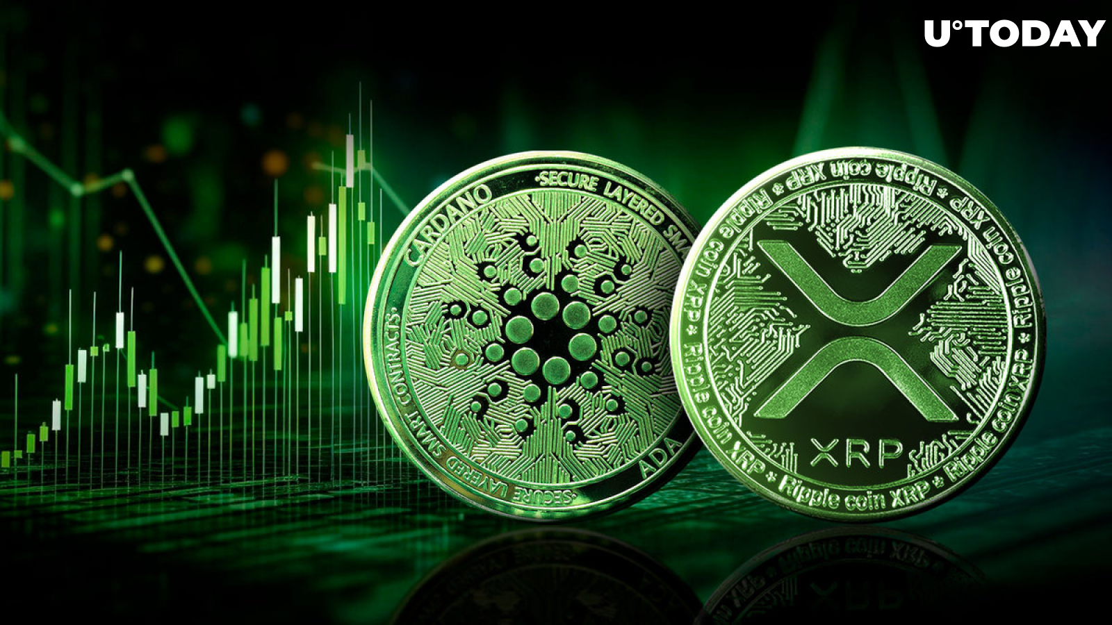 XRP and Cardano Turn Green in $708 Million ETF Rally
