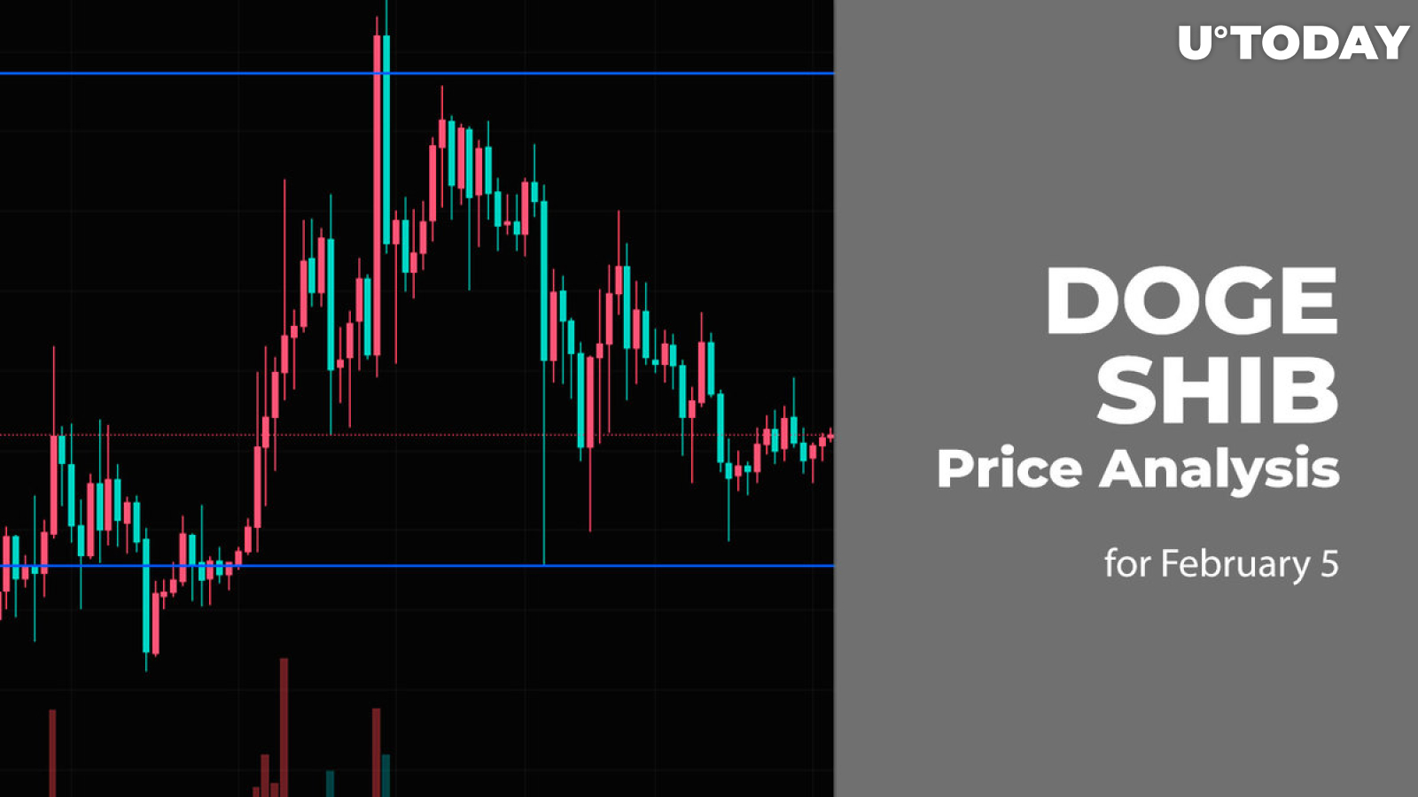 DOGE and SHIB Price Analysis for February 5