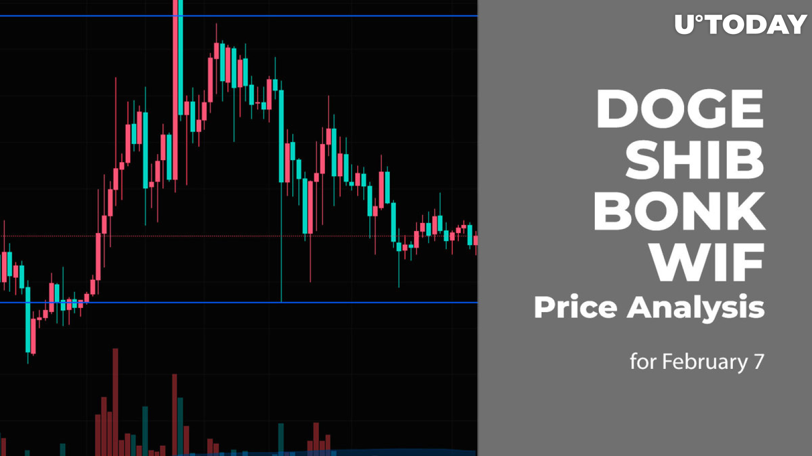 DOGE, SHIB, BONK and WIF Price Analysis for February 7