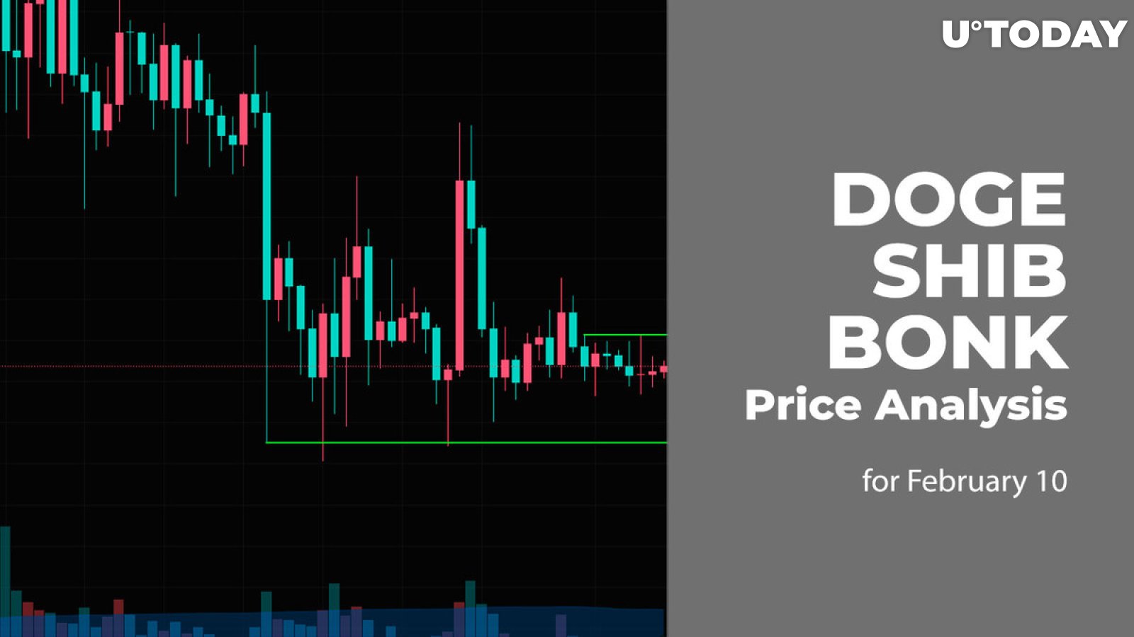 DOGE, SHIB and BONK Price Prediction for February 10