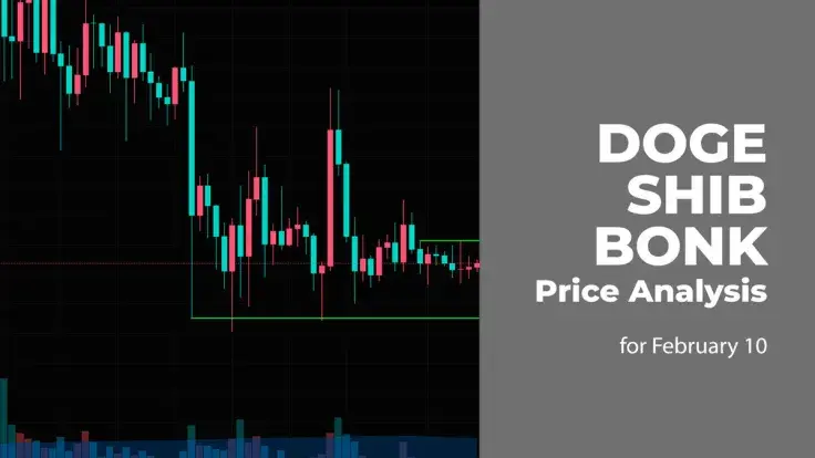 DOGE, SHIB and BONK Price Prediction for February 10