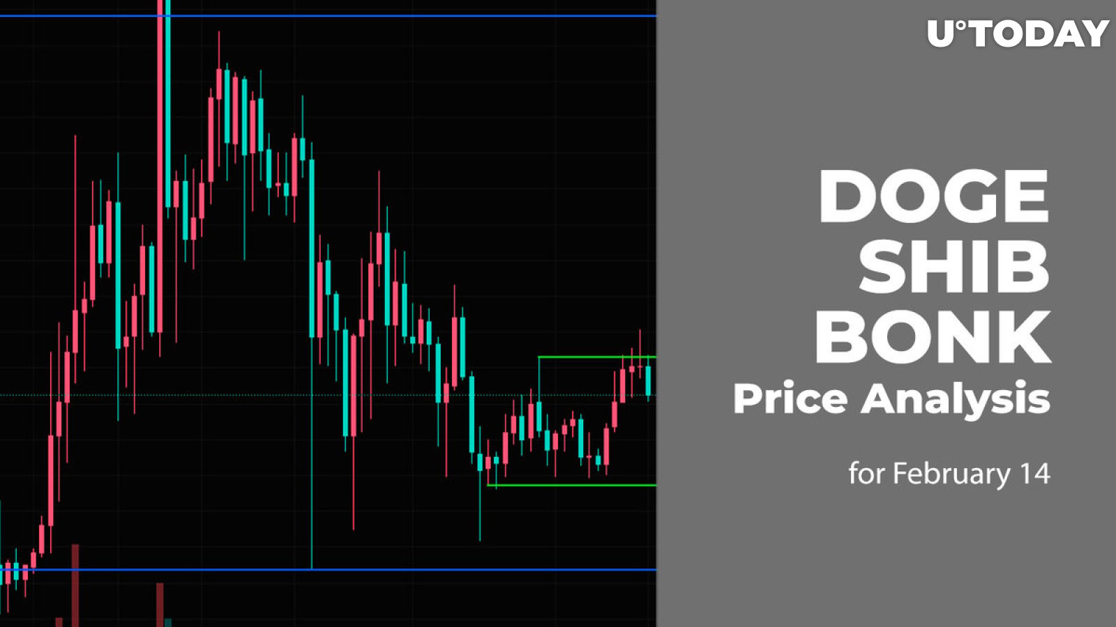 DOGE, SHIB and BONK Price Prediction for February 14