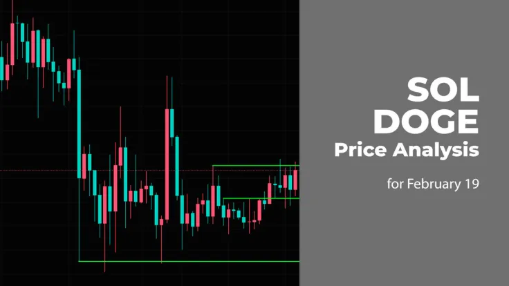 SOL and DOGE Price Prediction for February 19