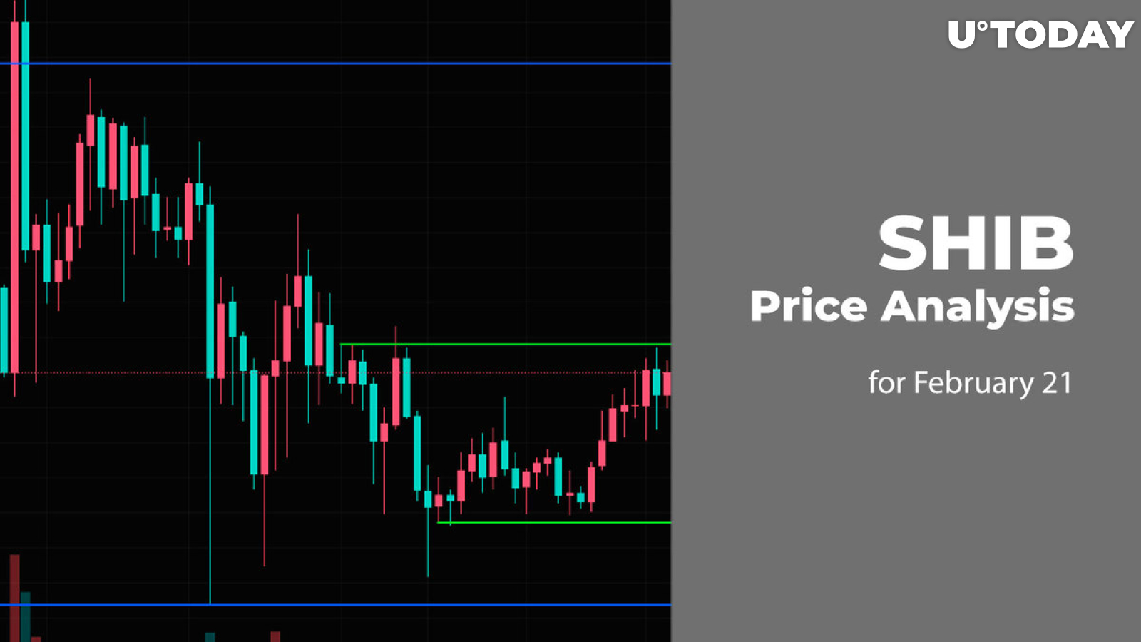 SHIB Price Prediction for February 21