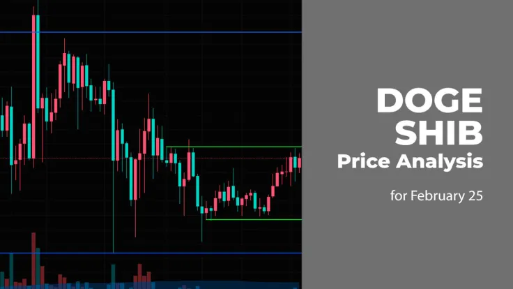 DOGE and SHIB Price Prediction for February 25