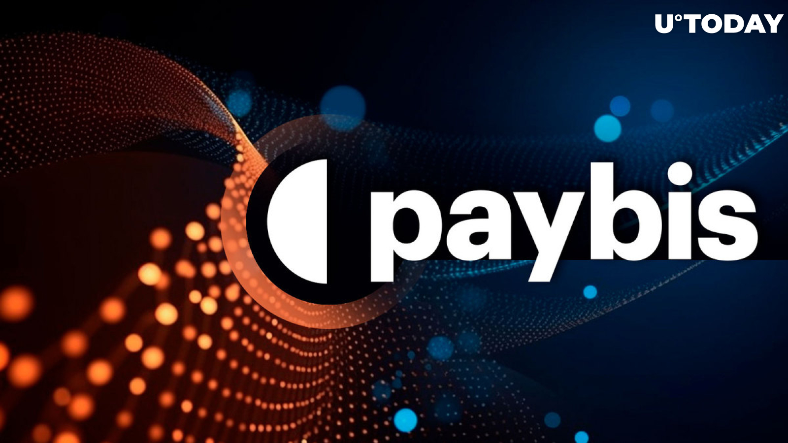 Empowering Global Crypto Exchange: Paybis Diverse Payment Method Ecosystem