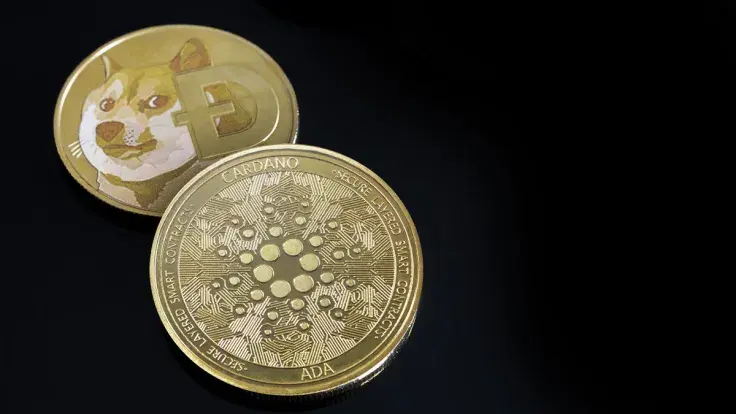 Dogecoin (DOGE) Overtakes Cardano (ADA). Is Shiba Inu (SHIB) Next?