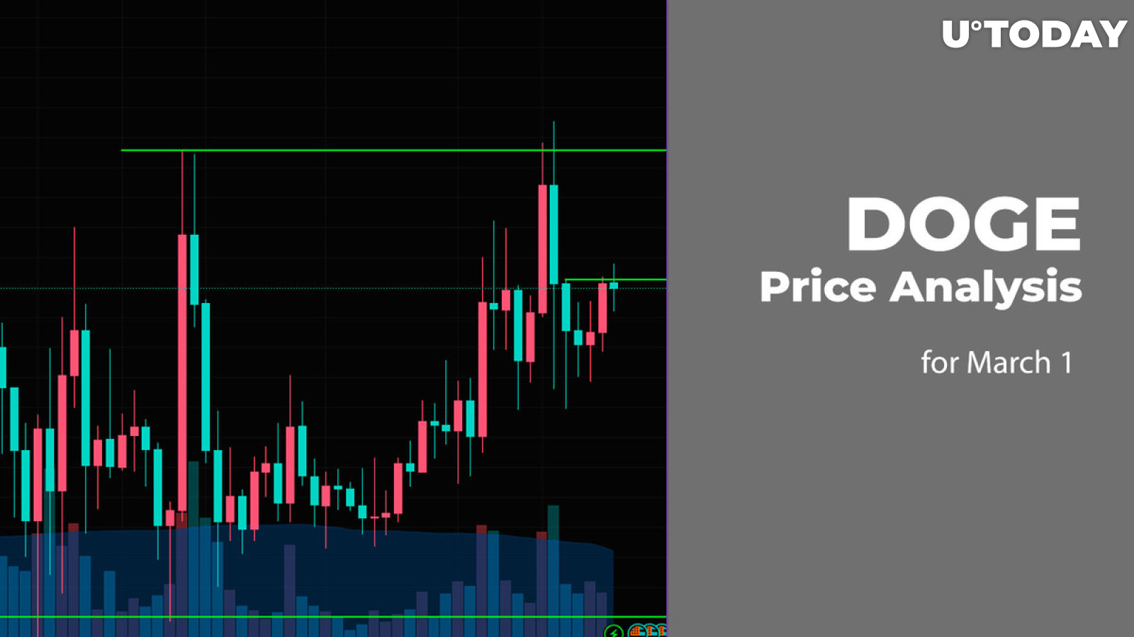 DOGE Price Prediction for March 1