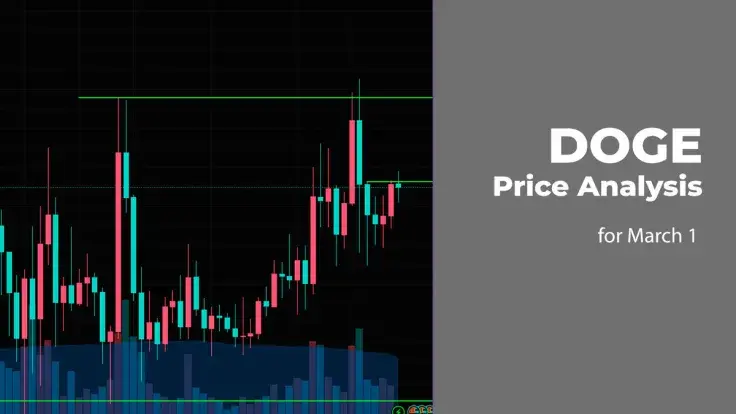 DOGE Price Prediction for March 1