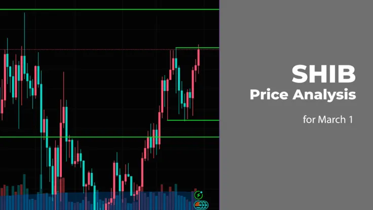 SHIB Price Prediction for March 1