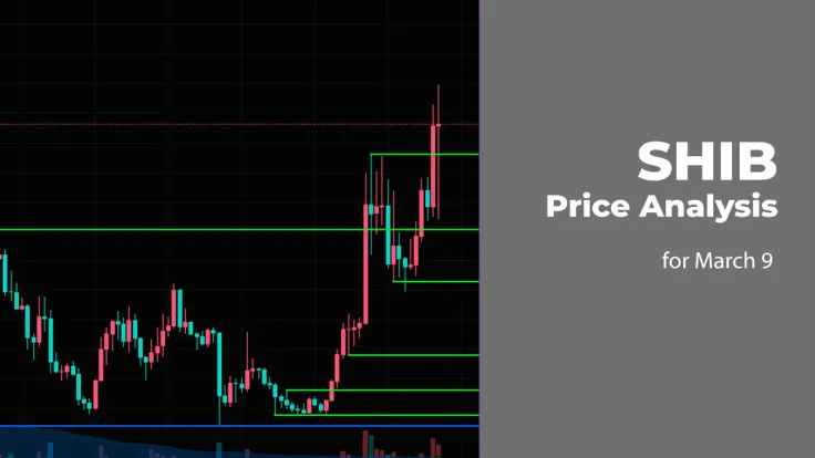 SHIB Price Prediction for March 9