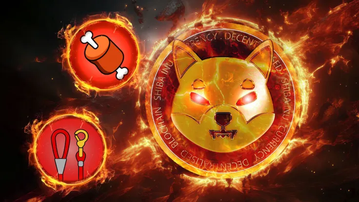 Shiba Inu Burn Rate Soars 15,608% as SHIB Team Torches SHIB, BONE, LEASH