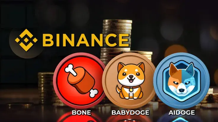 Binance Futures Might Add BONE, BABYDOGE and AIDOGE: Details