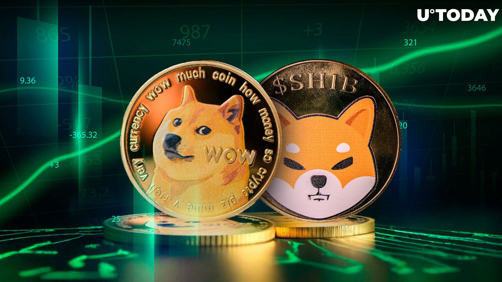 Shiba Inu (SHIB) and Dogecoin (DOGE) Leading $80 Billion Meme Coin Inflow