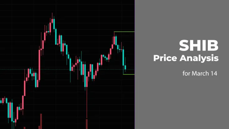 SHIB Price Prediction for March 14