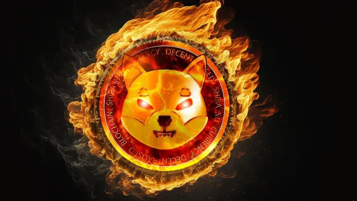 Millions of SHIB Burned Amid Major Price Correction