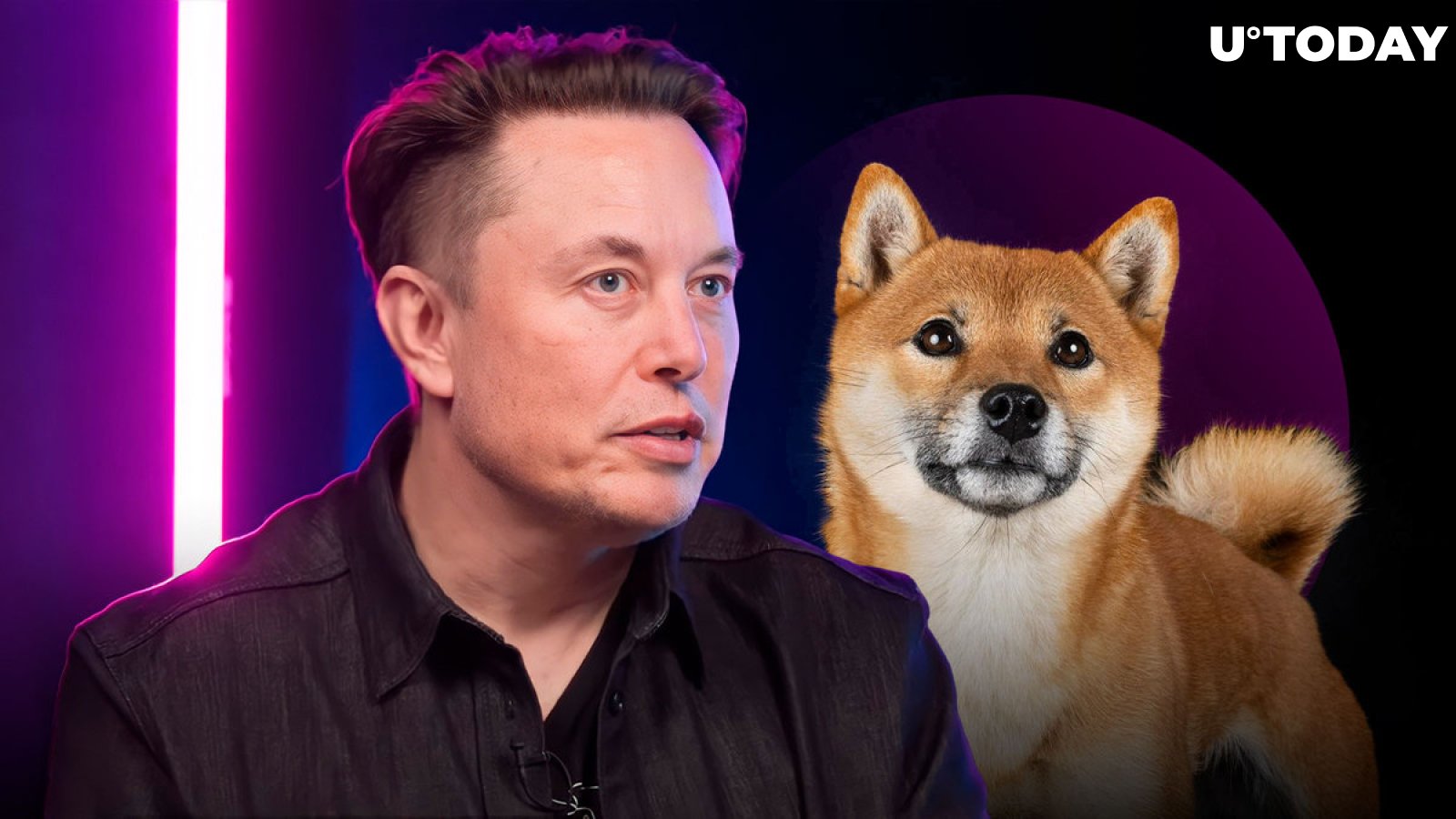 Elon Musk Excites Crypto Community With His New Doge Tweet