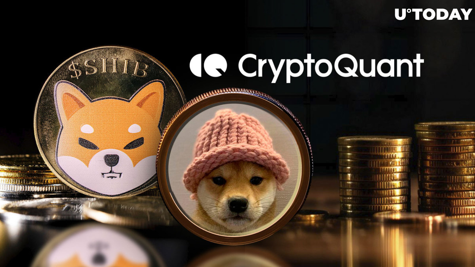 'Meme Coins Harm Crypto Industry,' Says CryptoQuant CEO Amid SHIB and WIF Hype