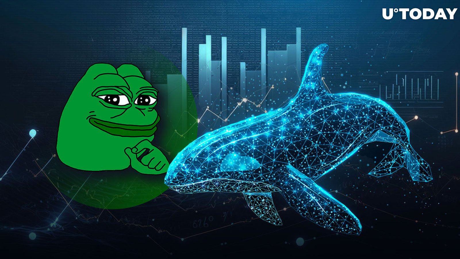 Pepe (PEPE) Whales Buy Over 560 Billion Coins - What's Happening?