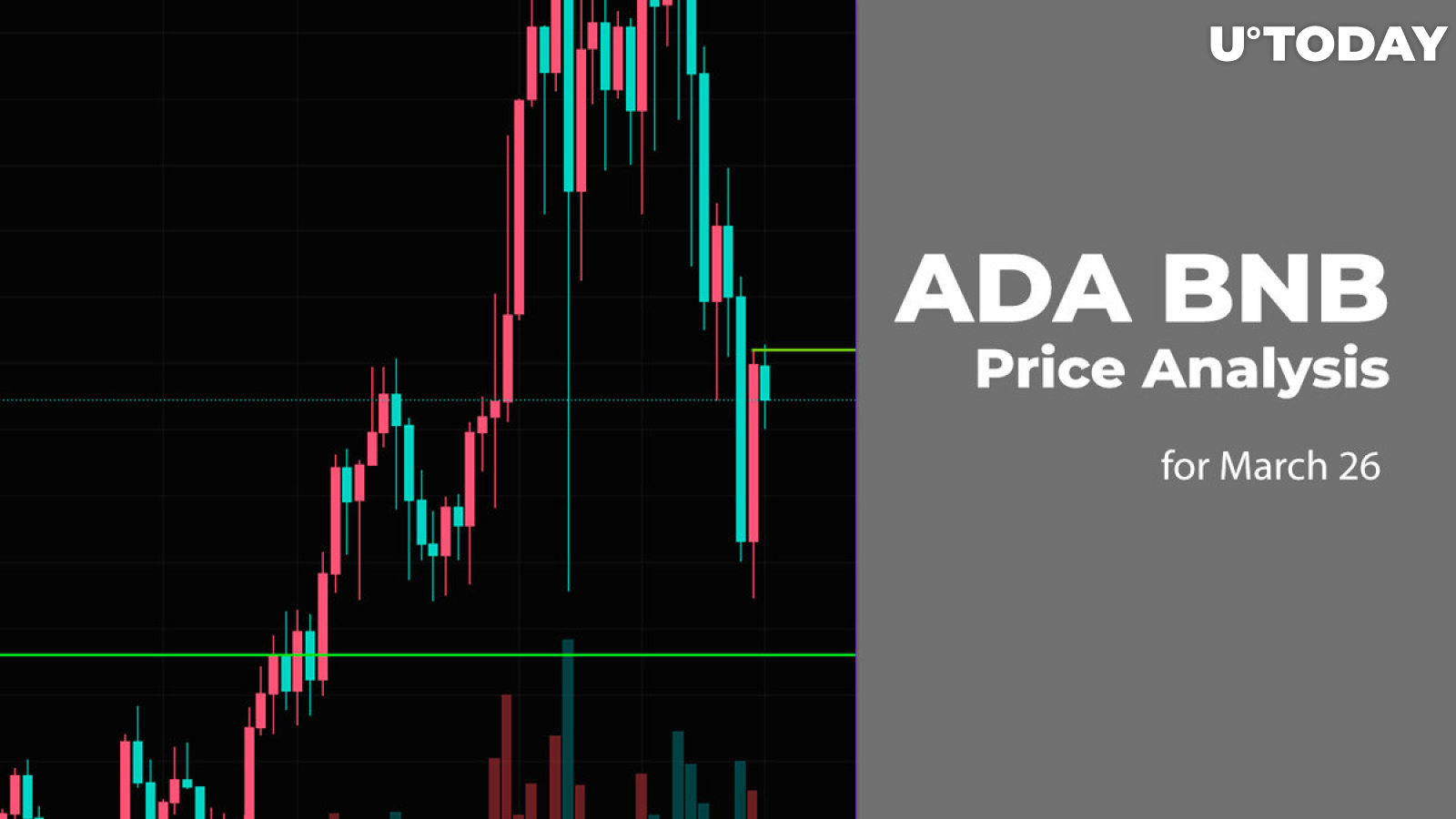 ADA and BNB Price Prediction for March 26