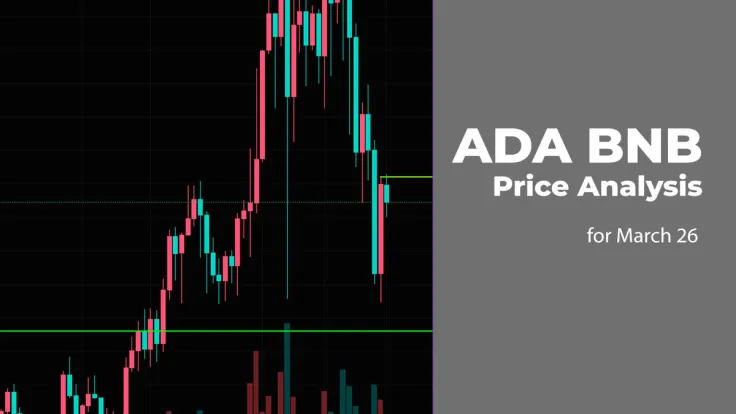 ADA and BNB Price Prediction for March 26