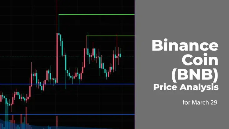 Binance Coin (BNB) Price Prediction for March 29