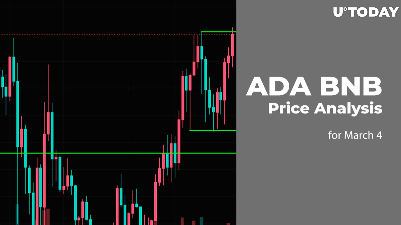 ADA and BNB Price Prediction for March 4