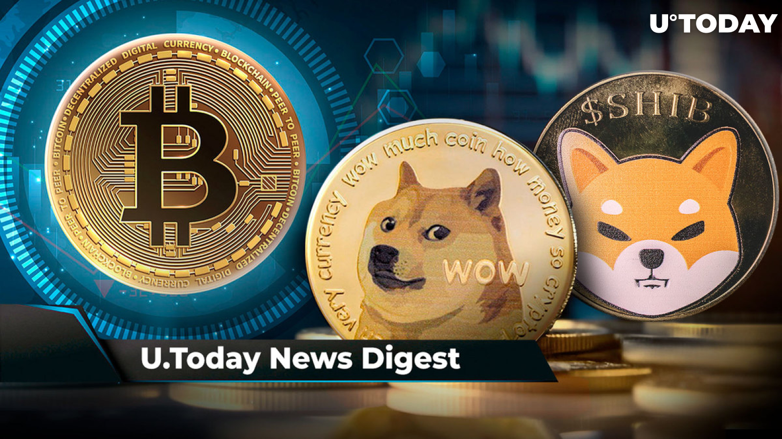 671,000 BTC Bought by Million Bitcoin Addresses at This Demand Zone, DOGE Rally Leaves 80% of Investors in Profit, 3 Trillion SHIB Moved to Robinhood Address: Crypto News Digest by U.Today