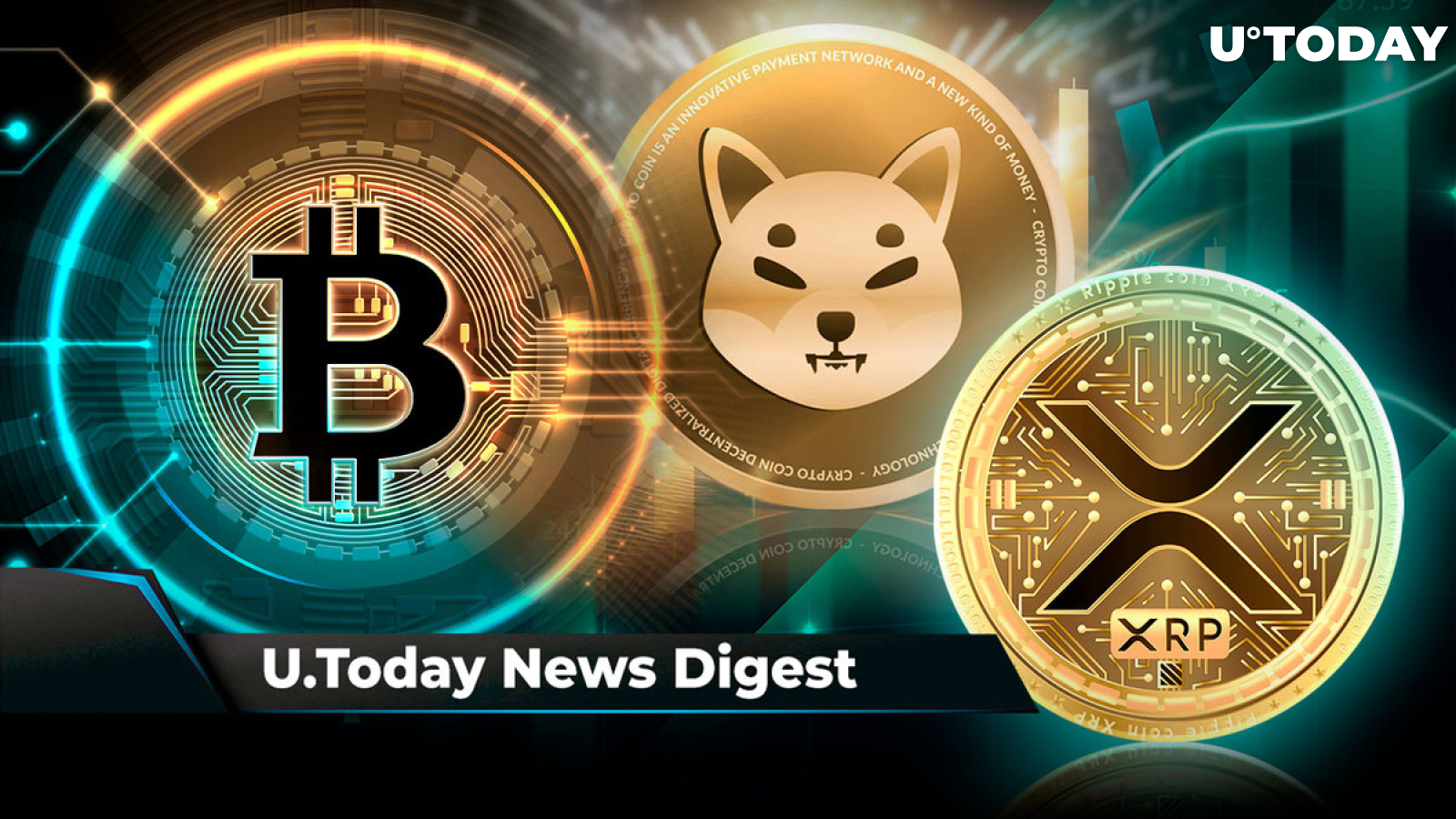 Here Are Factors That Could Trigger Bitcoin Spike This Week, XRP Attracts $2.5 Million Inflows into Crypto Market, SHIB Rockets to Second Place on Binance: Crypto News Digest by U.Today