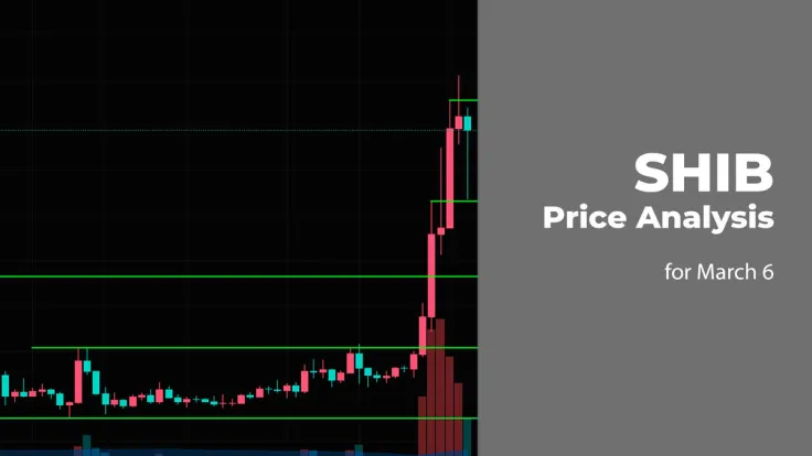 SHIB Price Prediction for March 6