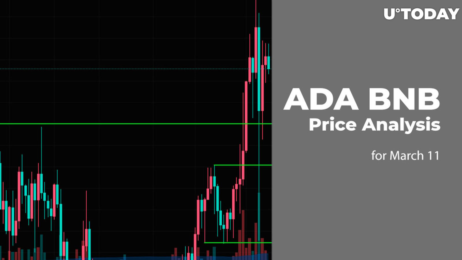 ADA and BNB Price Prediction for March 11