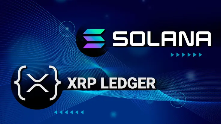 Lead XRPL NFT Creator Explains Why Solana Is Better Than XRP Ledger