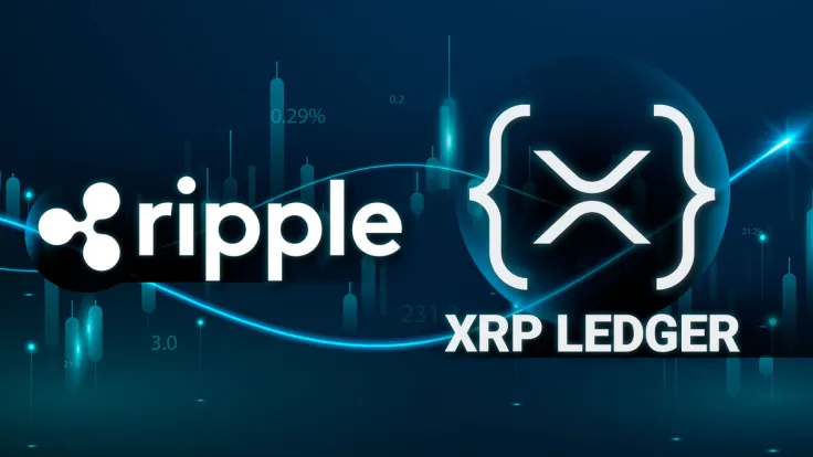 Ripple Releases Exciting Statement on XRP Ledger AMM