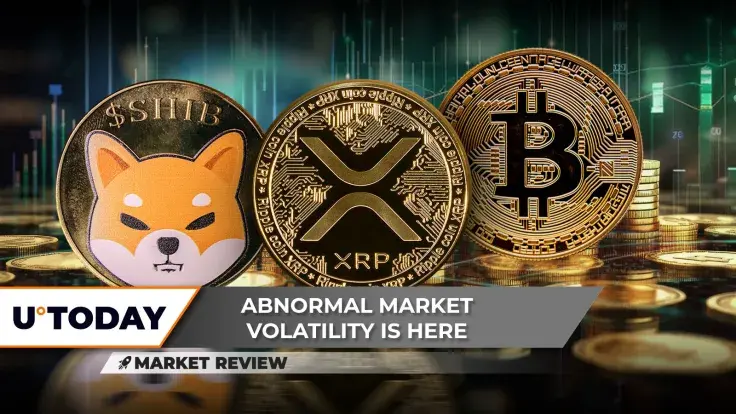 Will Bitcoin (BTC) Reach ATH Again? XRP's Gains Nullified, Shiba Inu's (SHIB) 40% Drop Raises Questions