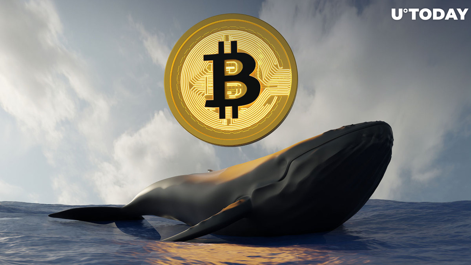 Bitcoin Whale Buys $40 Million Worth of BTC at the Bottom  