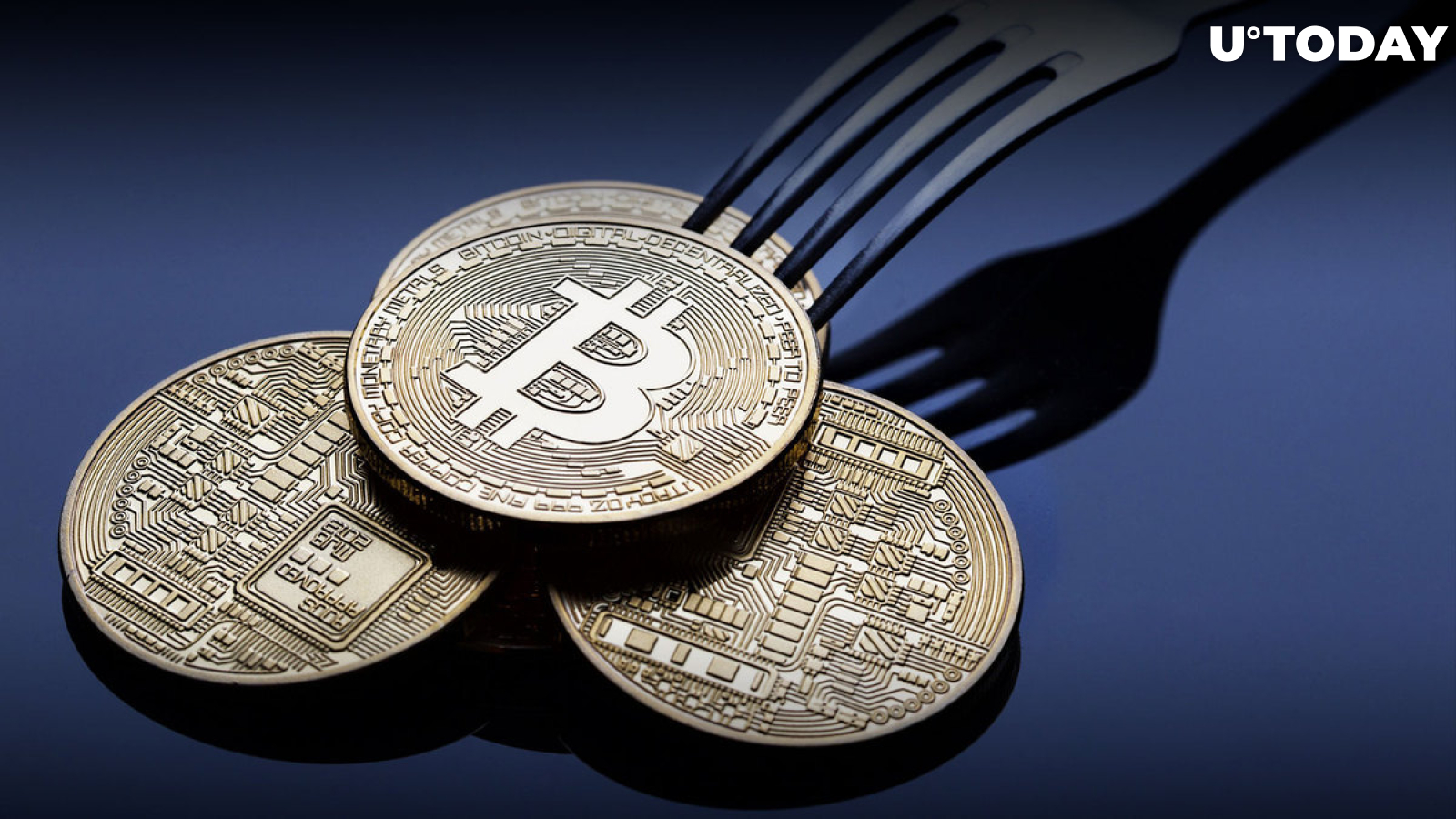 Biggest Bitcoin Fork Completes Halving