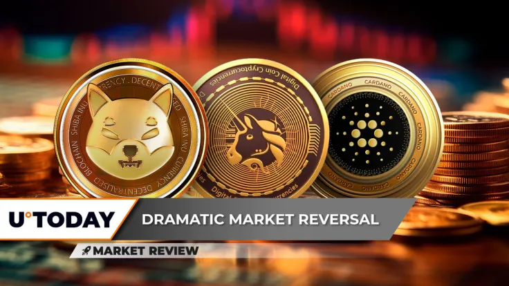 Shiba Inu (SHIB) Breaks Down Dramatically, Uniswap (UNI) Freefall Continues: Next Support, Cardano (ADA) Lands on Major Support