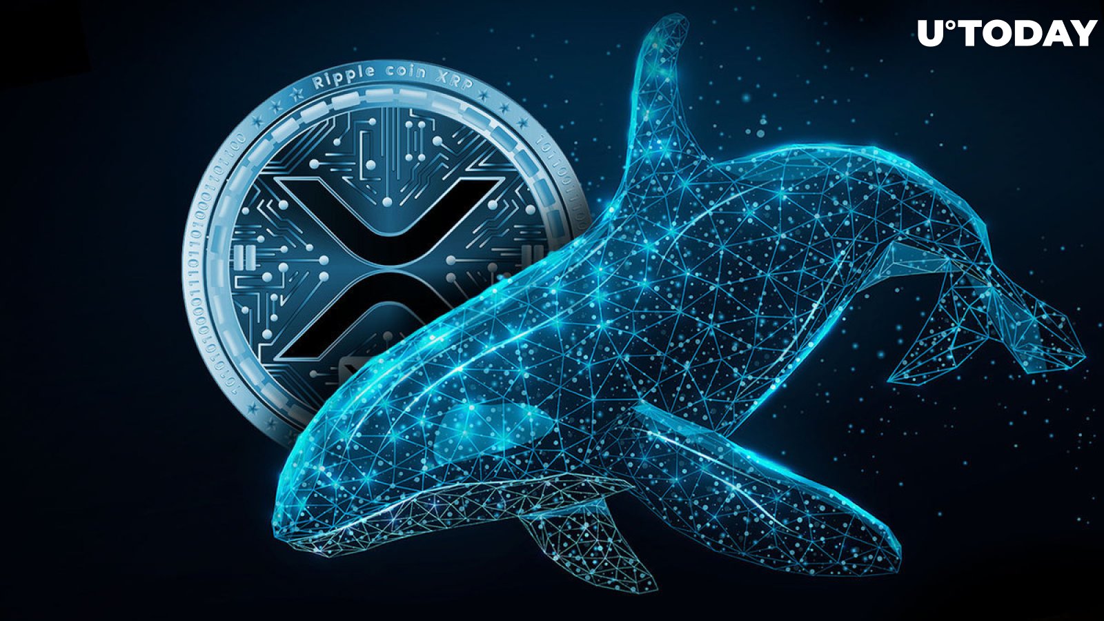 33.33 Million XRP Mysteriously Departs Major Exchange for Enigmatic Whale