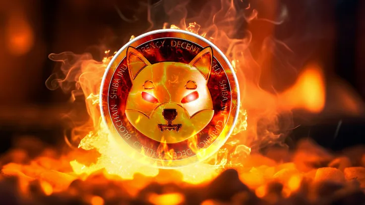 SHIB Burn Rate Skyrockets After Crucial SHIB Upgrade Announcement
