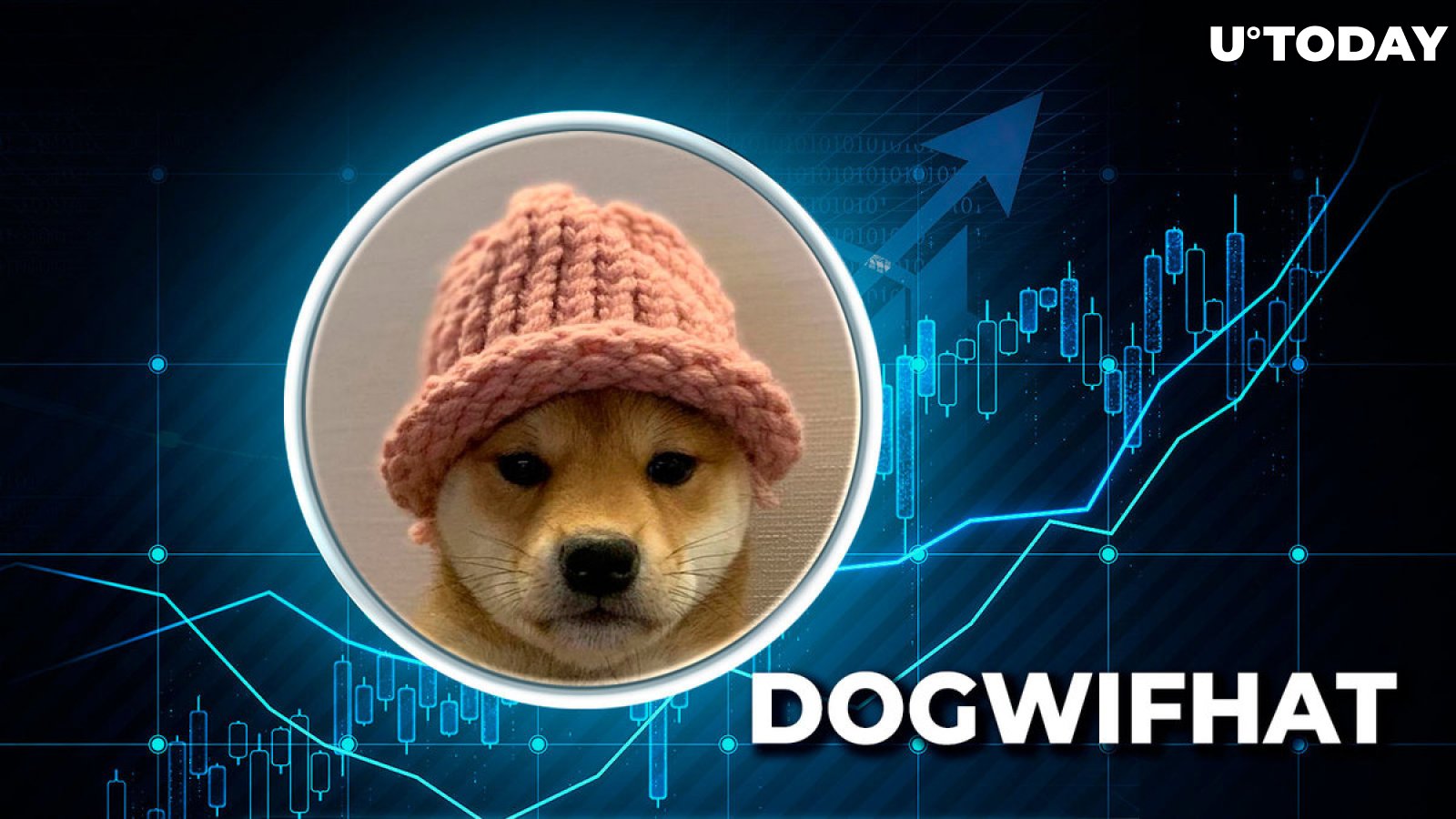 Top Solana Meme Coin Dogwifhat (WIF) Skyrockets 1,481% in Major Exchange Listing Anomaly