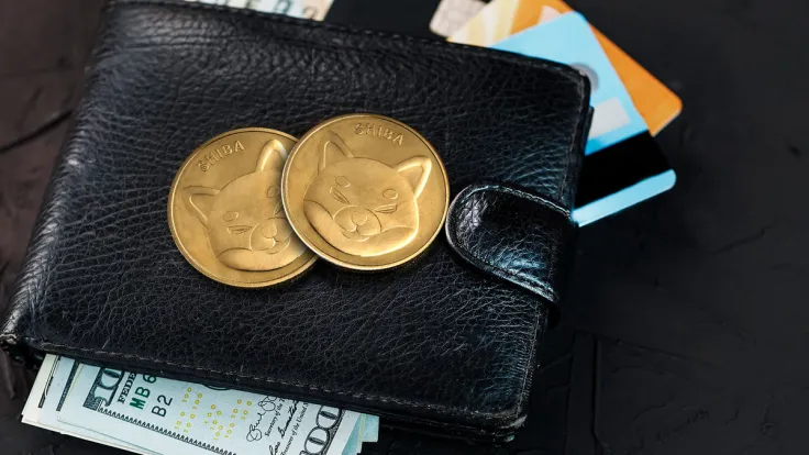 Mysterious 3 Trillion Shiba Inu (SHIB) Transfer Raises Questions