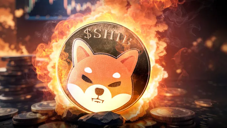 Shiba Inu Burn Rate Skyrockets by 64,201%, 657 Million SHIB Vanish
