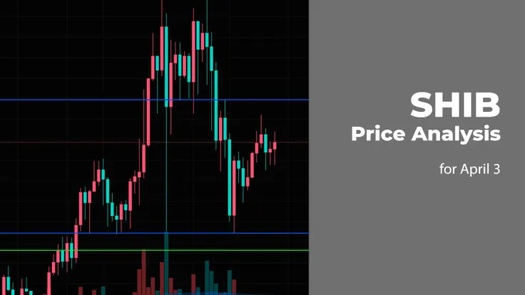 SHIB Price Prediction for April 3