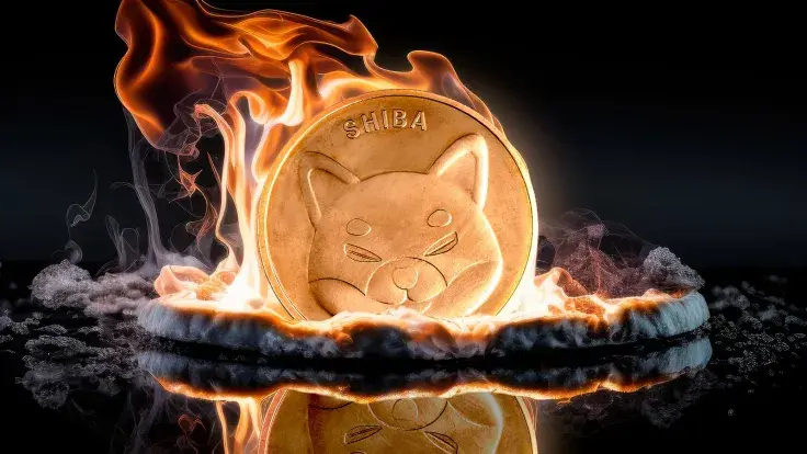 Shiba Inu Skyrockets 60% in Burn Rate; What It Means for SHIB Price